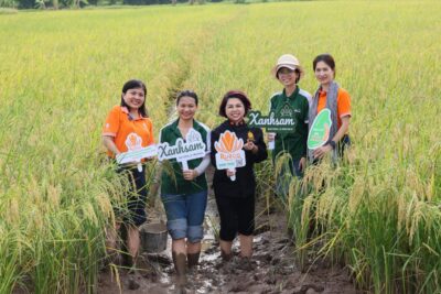 Rueco – Đơn vị tiên phong nông nghiệp sinh thái lúa – rươi tại Việt Nam
