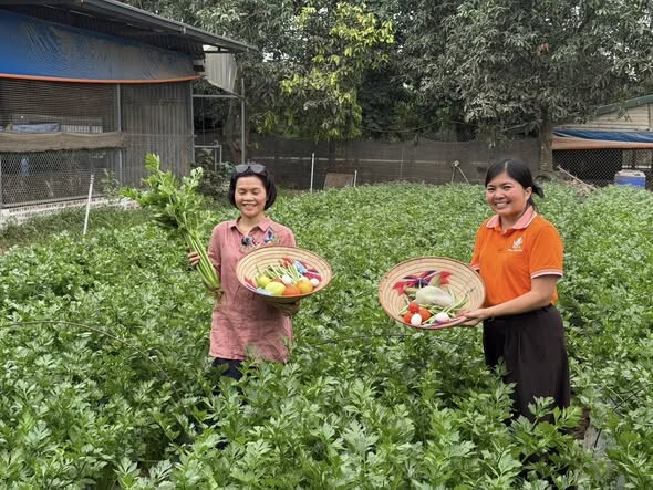 Kim Sơn Farm & Rueco | Hành trình nông nghiệp thuận tự nhiên