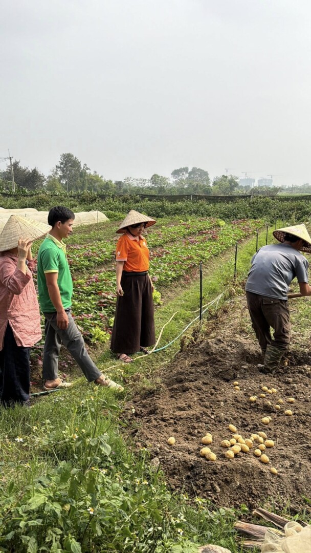 Kim Sơn Farm & Rueco | Hành trình nông nghiệp thuận tự nhiên