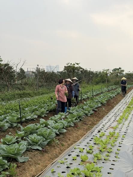 Kim Sơn Farm & Rueco | Hành trình nông nghiệp thuận tự nhiên