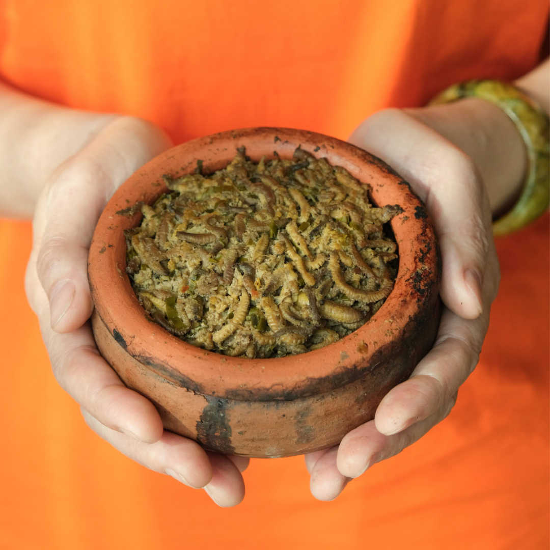 Rươi ủ trấu
